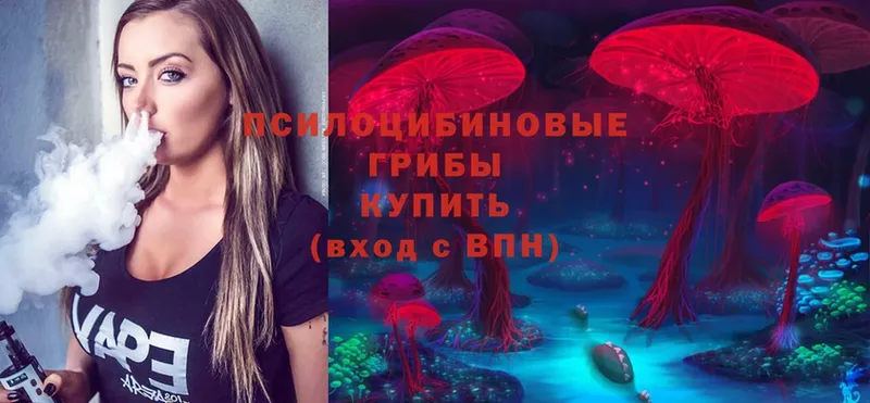 Галлюциногенные грибы Psilocybe  где можно купить   Верея 